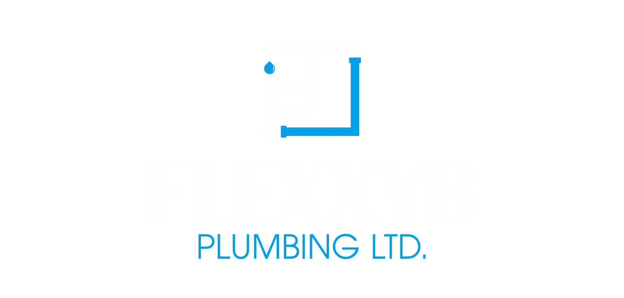 flexxyb.com