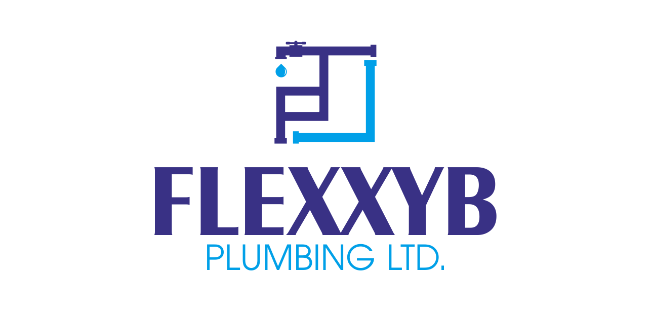 flexxyb.com